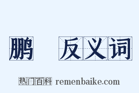 鹏鶱反义词是什么意思的图片